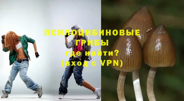 прущие грибы Белокуриха