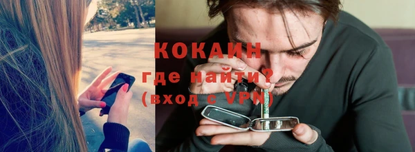 прущие грибы Белокуриха