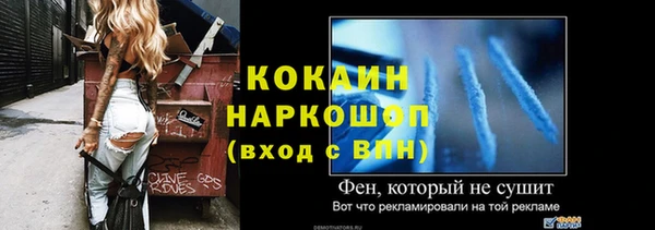 прущие грибы Белокуриха