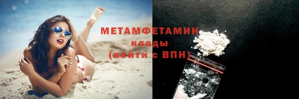 прущие грибы Белокуриха
