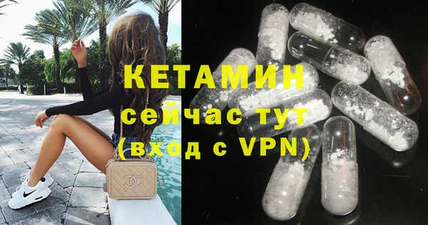 прущие грибы Белокуриха