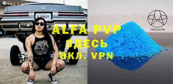 прущие грибы Белокуриха