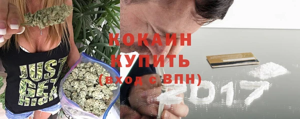 прущие грибы Белокуриха