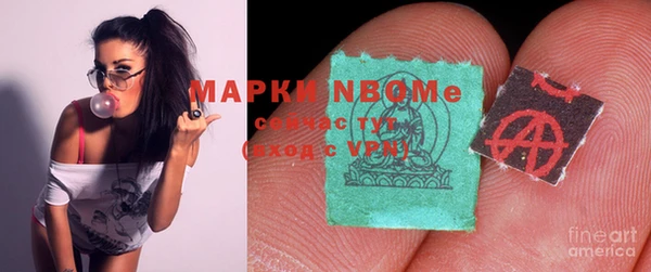 прущие грибы Белокуриха