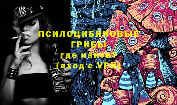 прущие грибы Белокуриха
